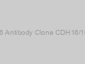 Anti-Ksp-Cadherin/ CDH16 Antibody Clone CDH16/1071, Unconjugated-100ug